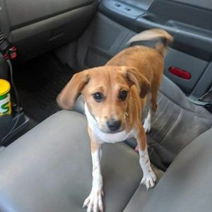 Meet your Posher, Gordon